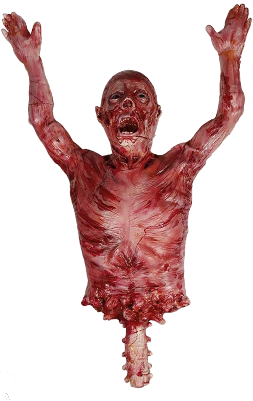 Meaty Bob
